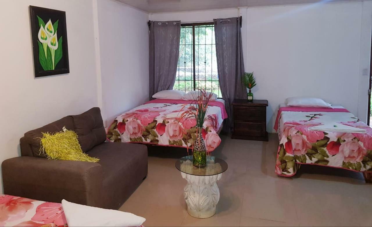 Hotel Maguey Tigre  Extérieur photo